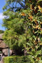 10月15日 USJ １