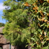 10月15日 USJ １