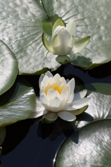 5月2日 散歩 ３