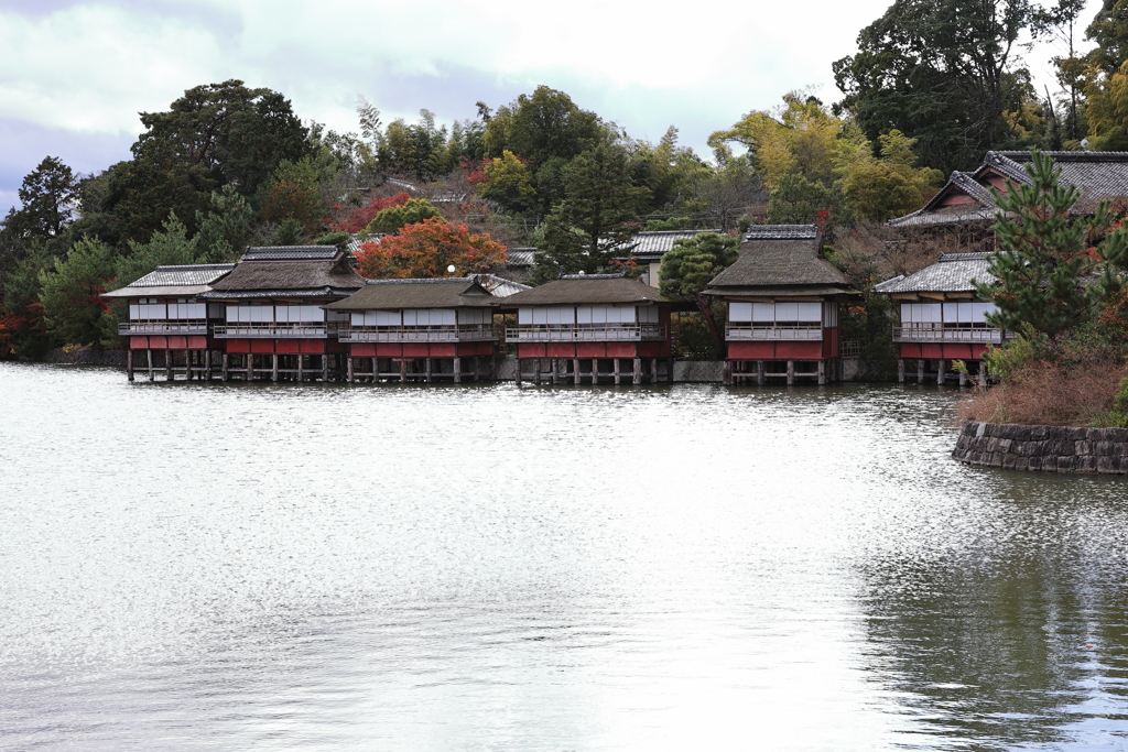 11月23日 京都 24