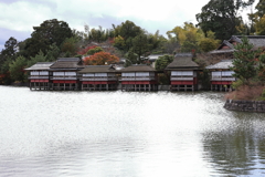 11月23日 京都 24