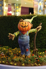 USJ風景 16 USJ風景 16