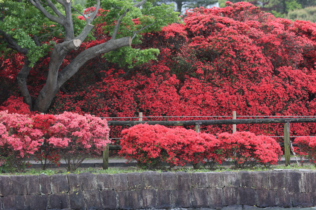 4月18日 長岡天神 13