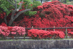 4月18日 長岡天神 13