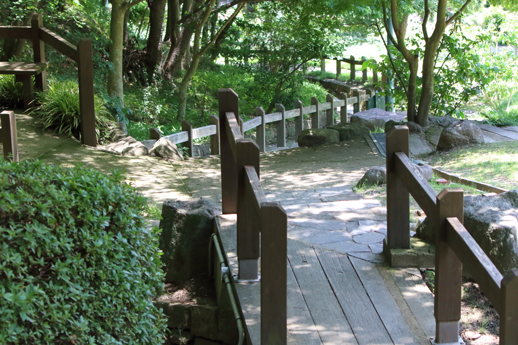 6月9日 布引ハーブ園 33