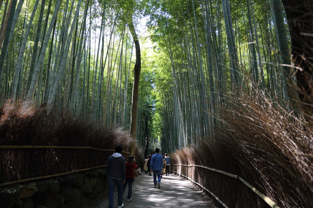 3月20日 京都嵐山 30