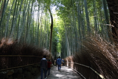 3月20日 京都嵐山 30