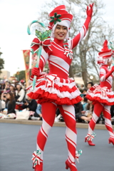 11月22日 東京ディズニーランド 39