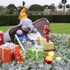11月22日 東京ディズニーランド １