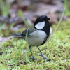 3月21日 有馬富士公園 13