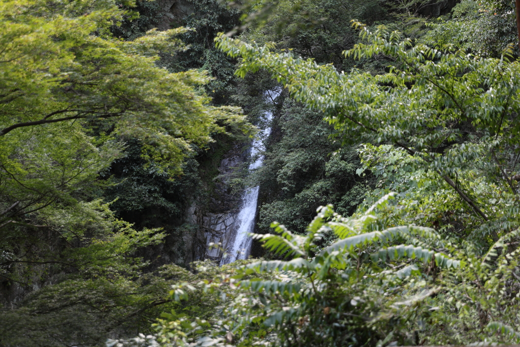 8月12日 布引の滝 ５