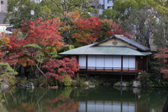11月28日 相楽園 18