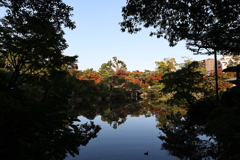 10月31日 相楽園 30
