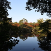 10月31日 相楽園 30
