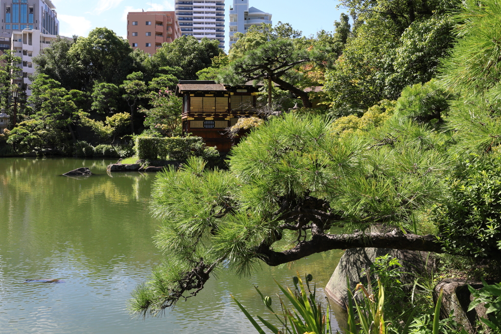8月27日 相楽園 12