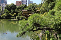 8月27日 相楽園 12