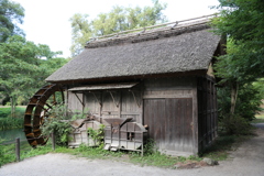 8月11日 大王わさび農場 ５