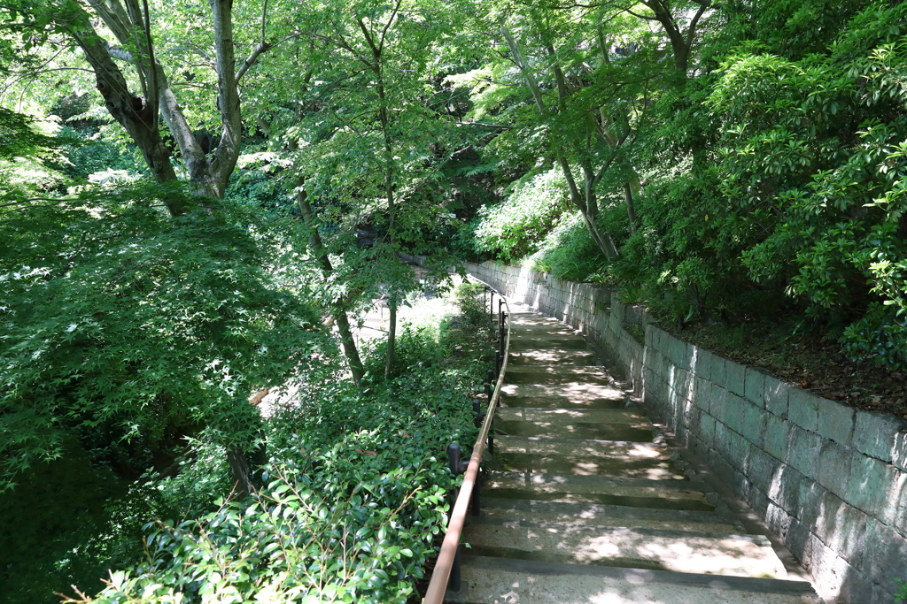 5月28日 布引ハーブ園 55