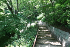 5月28日 布引ハーブ園 55