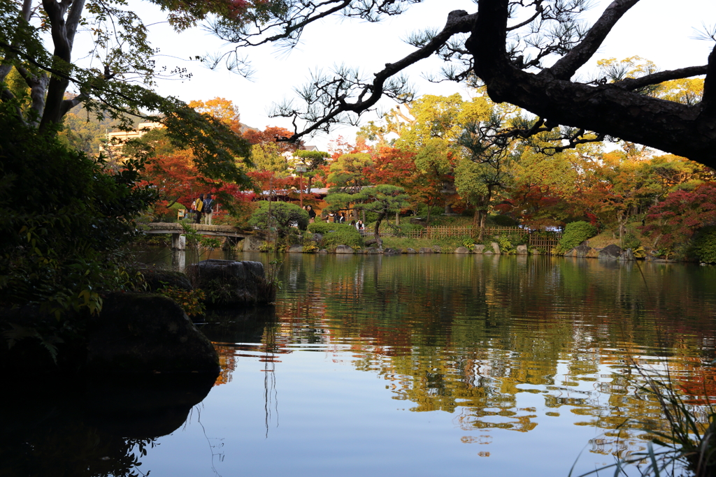 11月16日 相楽園 48