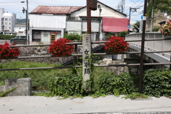 8月11日 松本 11