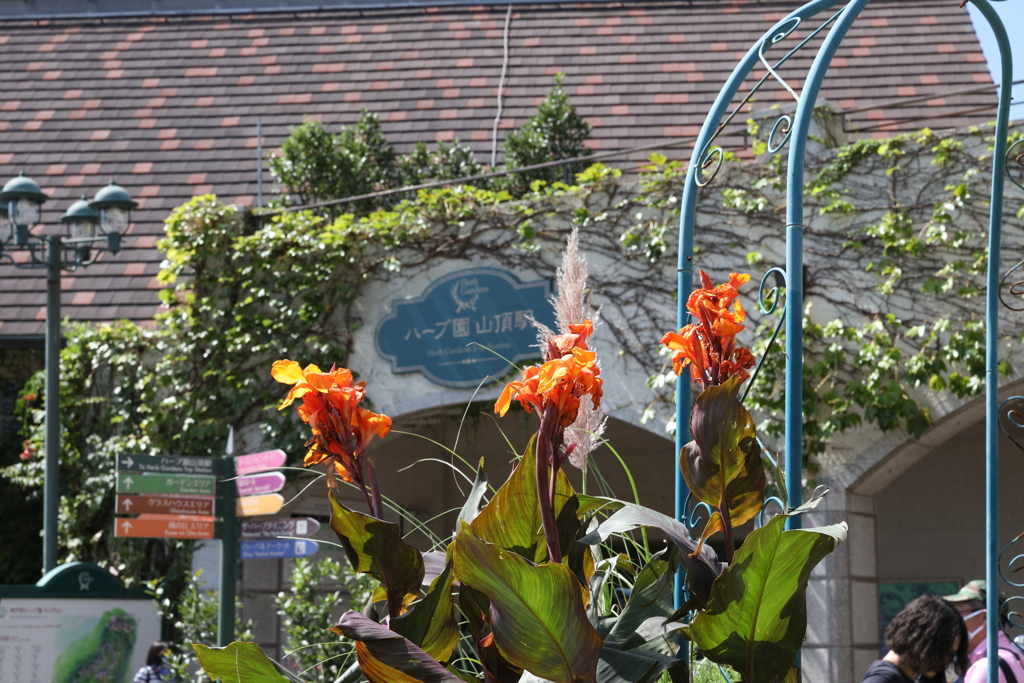 9月21日 布引ハーブ園 ７