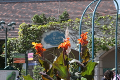 9月21日 布引ハーブ園 ７