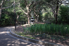 2月20日 須磨離宮公園 ３