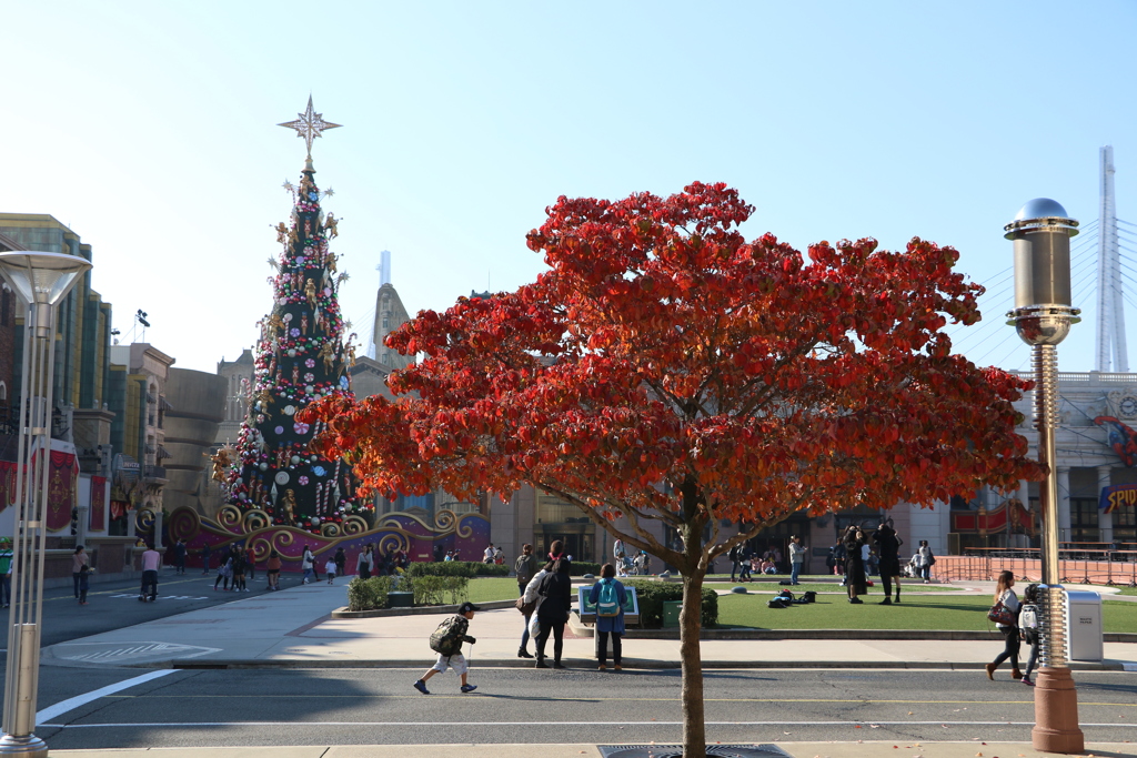 11月2日のUSJ ８