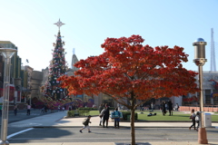 11月2日のUSJ 8 11月2日のUSJ 8