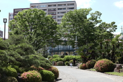 5月23日 相楽園 ２