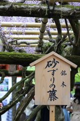 5月2日 奈良 27