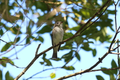 9月19日 明石公園 16