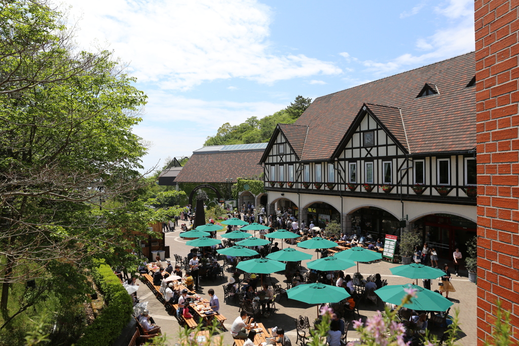 5月4日の布引ハーブ園 １