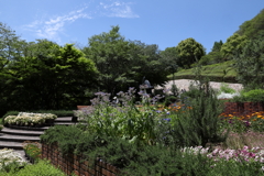 5月28日 布引ハーブ園 44