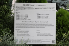 8月12日 善光寺 49