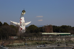 3月19日 万博記念公園 １