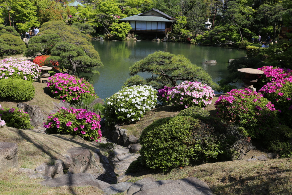 4月21日 相楽園 12