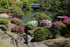 4月21日 相楽園 12 4月21日 相楽園 12