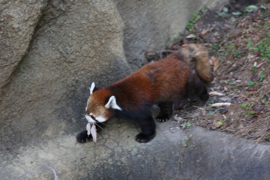 12月29日 枚方パーク 20