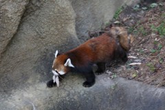 12月29日 枚方パーク 20