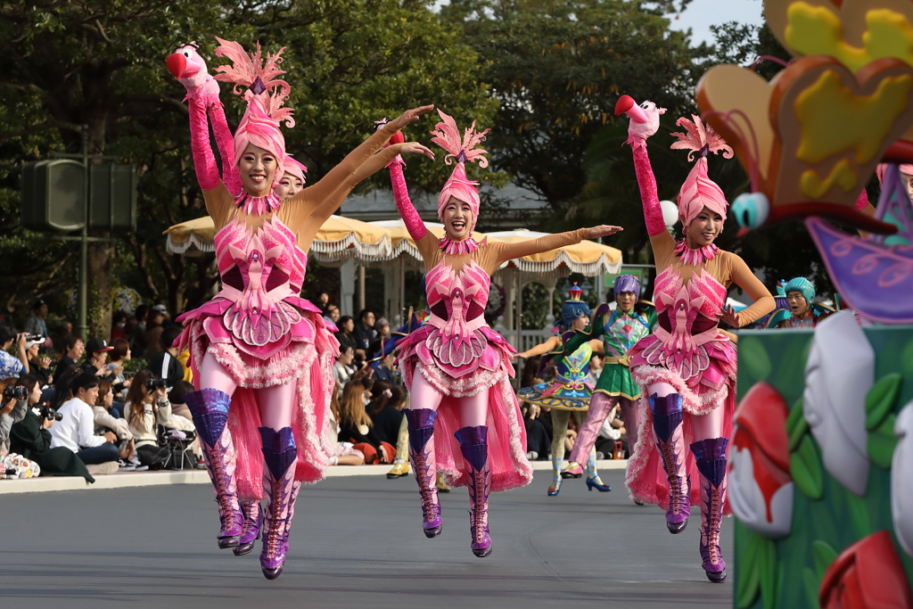 11月7日 東京ディズニー・ランド 19