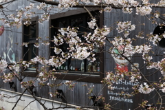 3月28日 京都 １