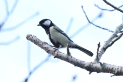 9月23日 明石公園 ８