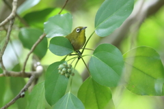 9月18日 明石公園 ８