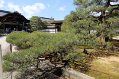 3月20日 京都嵐山 37