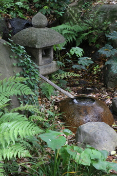 5月1日お散歩 相楽園 3 5月1日お散歩 相楽園 3