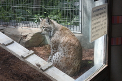 3月26日 王子動物園 12