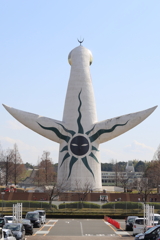3月19日 万博記念公園 35