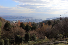 12月15日 布引ハーブ園 2 12月15日 布引ハーブ園 2